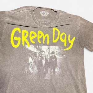 Vintage Y2K Green Day Dookie Acid Wash Grey Band T-Shirt Medium